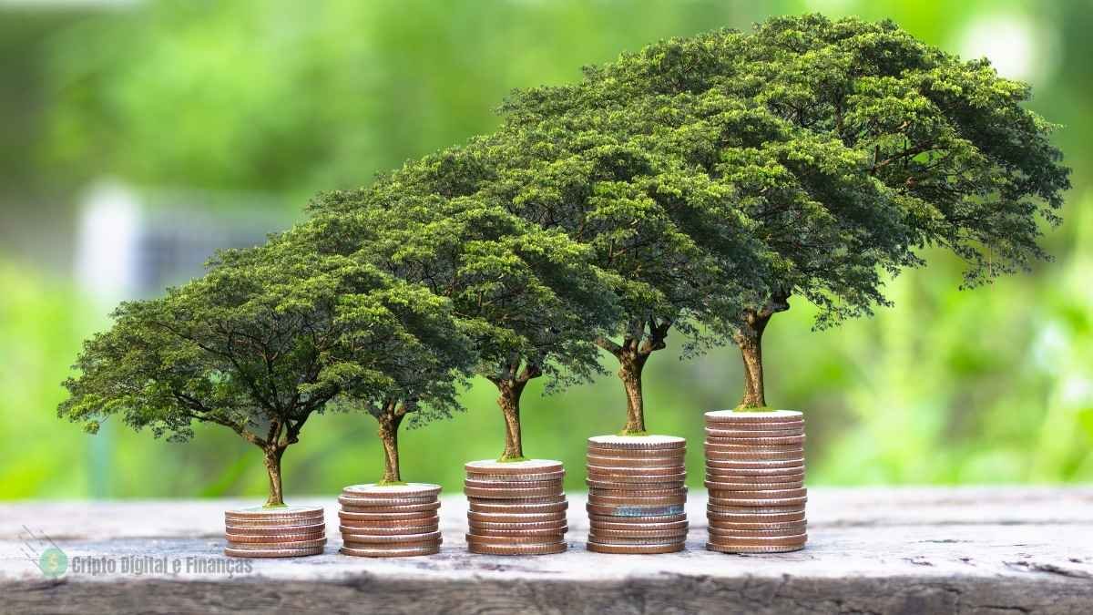 investimento sustentável 2025